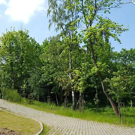 Apartament Lazurowy